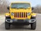 2019 Jeep Wrangler Sahara