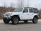 2020 Jeep Wrangler Sahara 4x4