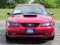 2004 Ford Mustang GT