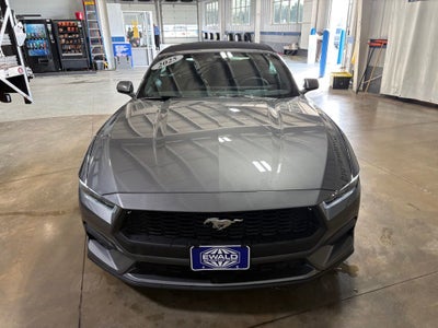 2025 Ford Mustang EcoBoost Premium