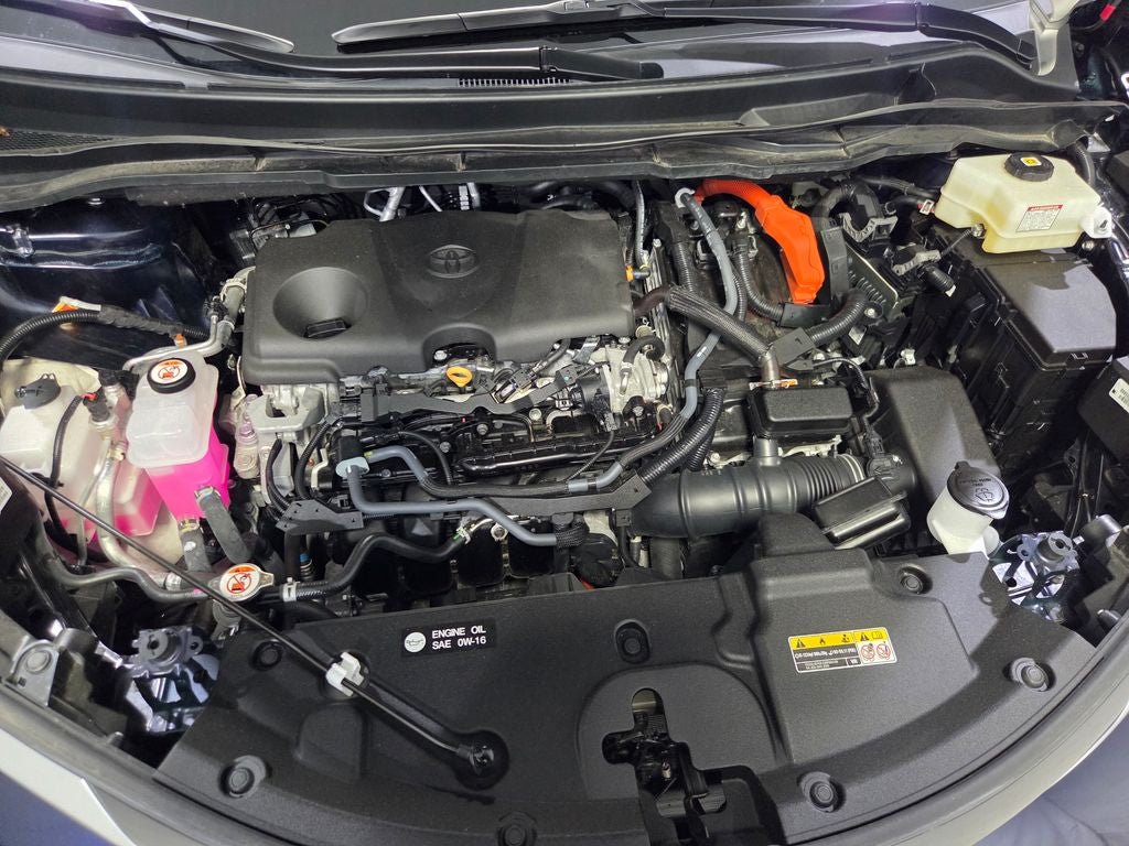 2025 Toyota Sienna Platinum 7 Passenger